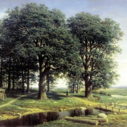 Oak Grove